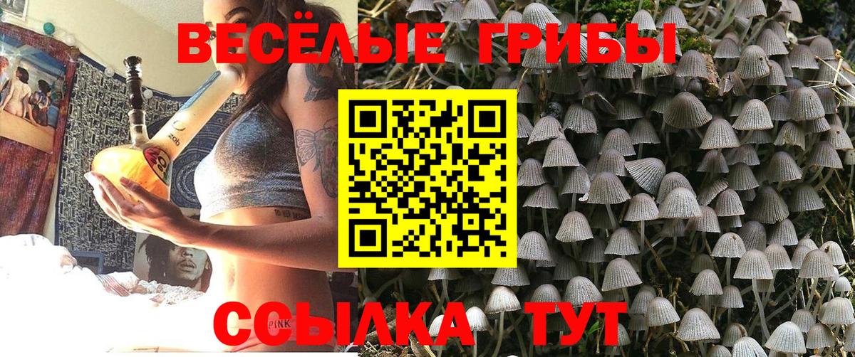 Псилоцибиновые грибы MAGIC MUSHROOMS Нефтекумск