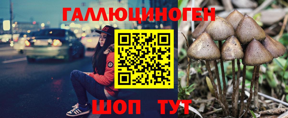 Галлюциногенные грибы MAGIC MUSHROOMS  Псилоцибиновые грибы мицелий  Нефтекумск  Вход с VPN 